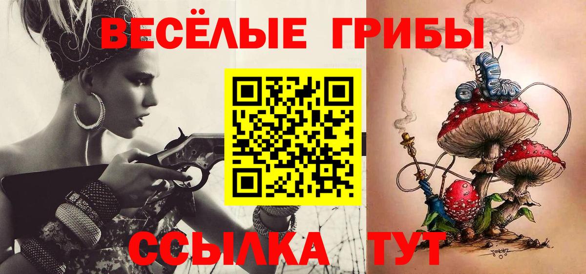 Псилоцибиновые грибы GOLDEN TEACHER Солнечногорск