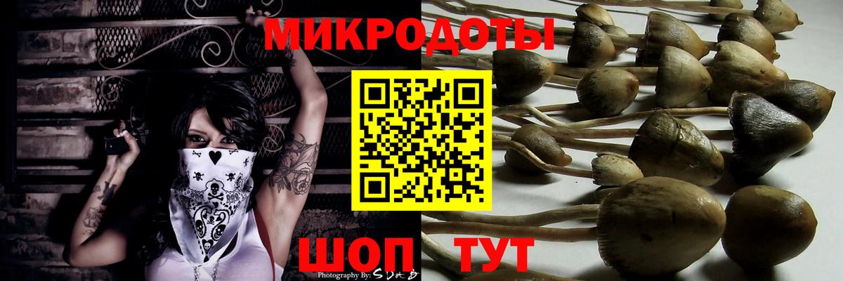 Галлюциногенные грибы MAGIC MUSHROOMS  Вход с VPN  Солнечногорск  продажа наркотиков  Галлюциногенные грибы мухоморы 
